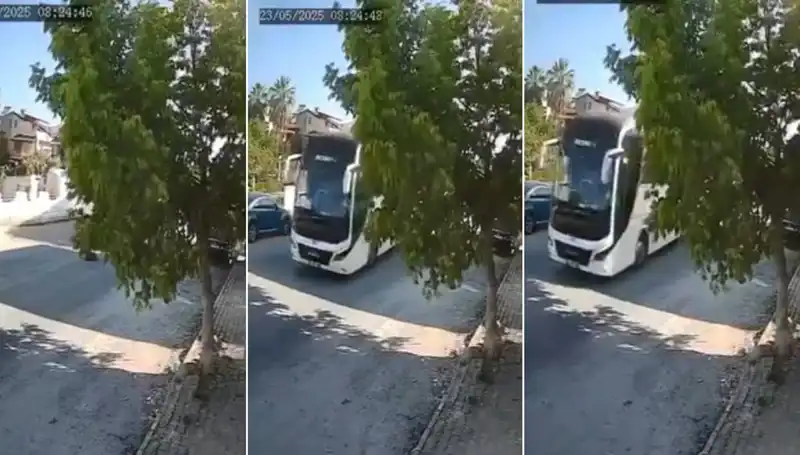 Yolda Yatan Köpeği Ezip Giden Sürücü, Sosyal Medyada Tepki Çekti!