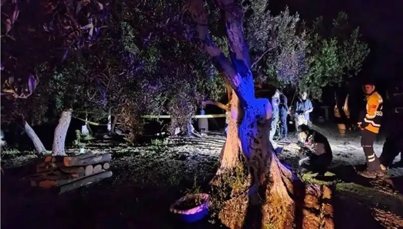 Çiftlikteki Baltalı Vahşet Soruşturmasında İlk Tutuklama Gerçekleşti