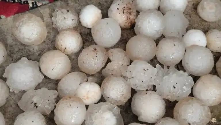 Şanlıurfa’da Kar Topu Büyüklüğünde Dolu Yağışı Alarm Verdi