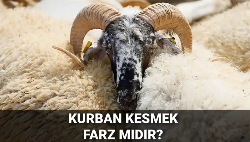 Kurban Kesmek Farz mı? Diyanet'in Kurban Hükmünü Keşfedin!
