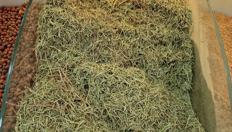Yaz Aylarında İnternette Satılan Tehlikeli Ürünler: Ölüme Neden Olabilir Mi?