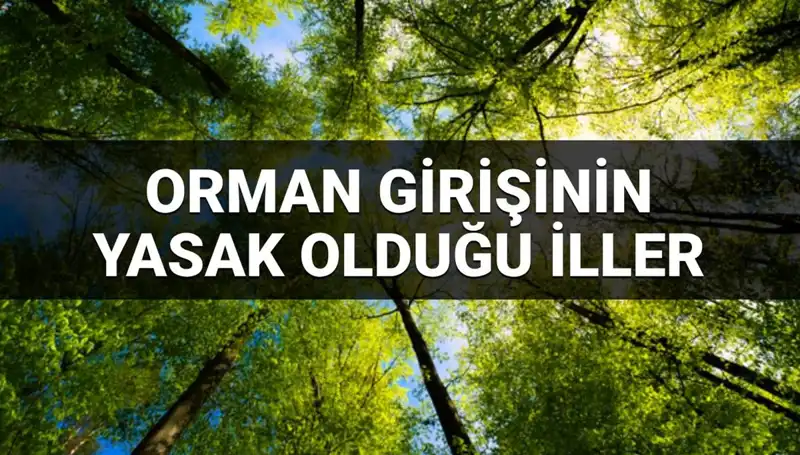 2025’te Hangi İllerde Ormana Girmek Yasak? İşte Liste!