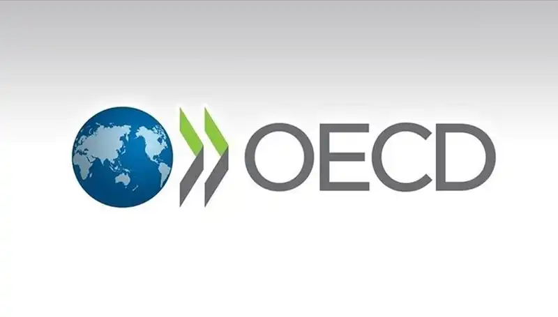OECD, Türkiye Ekonomisi İçin Büyüme Tahminlerini Yeniledi: Beklentiler Ne?