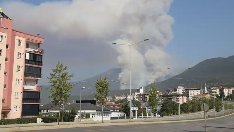 Denizli Orman Yangını: Şüphelinin Gözaltına Alınması Tartışmalara Neden Oldu