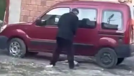 Sokakta Köpeğe Şiddet: Hayvan Hakları İhlali Mi?