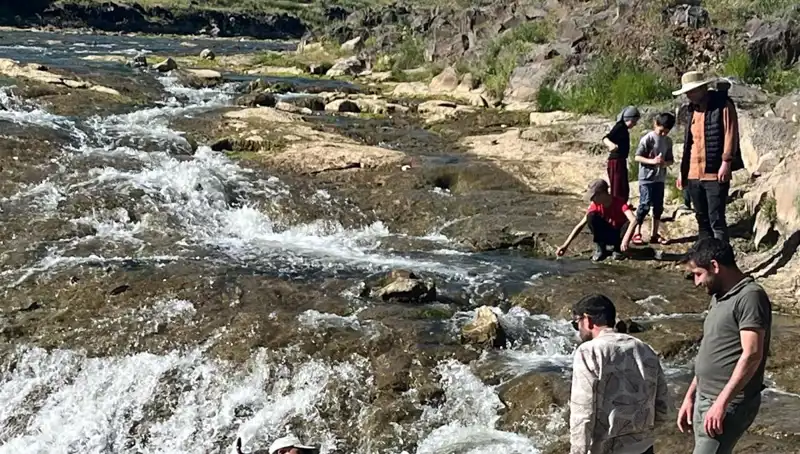 İnci Kefalinin Göçü: Turistlerin Gözdesi Haline Gelen Doğal Bir Mucize
