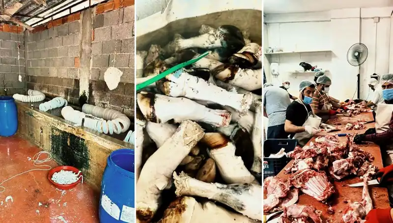 Adana'da Şok Edici Paça Operasyonu: Yüzlerce Kilo Ele Geçirildi