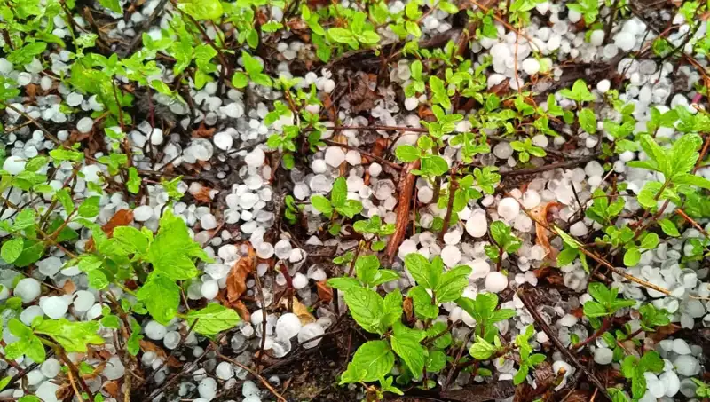 Temmuz Ortasında Gelen Şaşırtıcı Dolu: Neler Yaşandı?