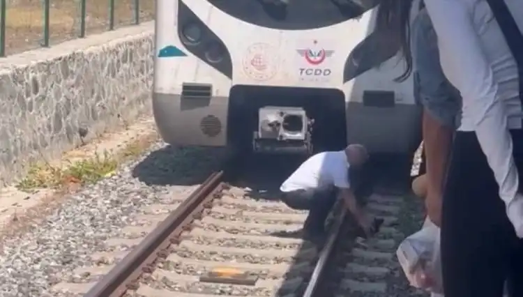 Raylardaki Kediyi Görebilen Makinist, Marmaray’ı Durdurarak Hayvanı Kurtardı