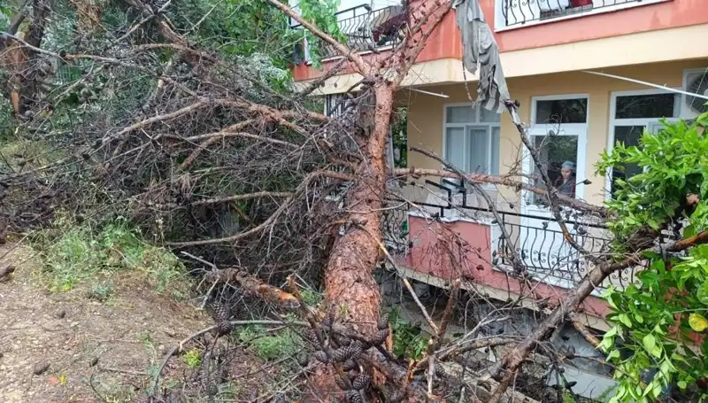 Yağmur Fırtınası Sonrası Bina Çöktü: Eyvahlar İçinde Kalanlar!
