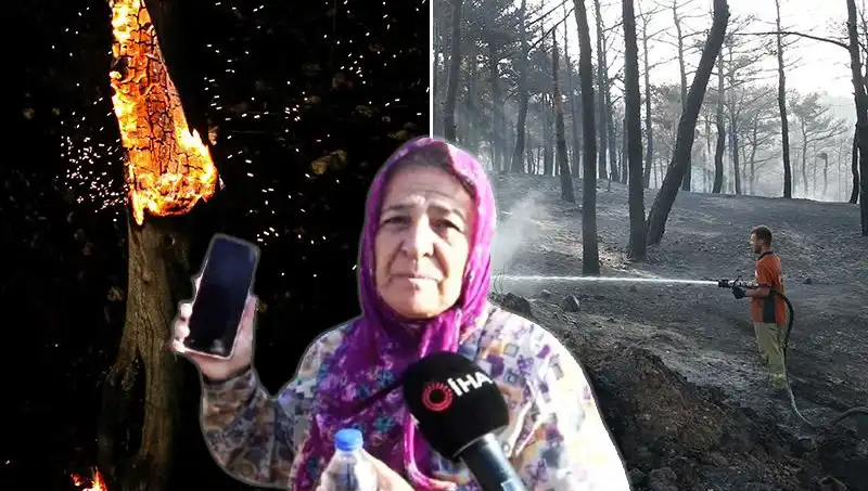 Çanakkale'deki Orman Yangınları Kontrol Altına Alındı: Hüzünlü Bir Hikaye
