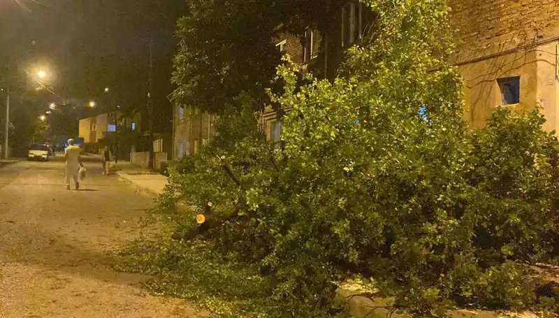Karabük'te Fırtına Alarmı: Can ve Mal Kaybı Yaşandı!