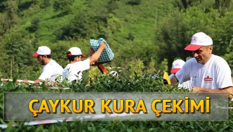 Çaykur Kura İle İşe Alım Sürecinde Son Gelişmeler: Nasıl Katılmalı?