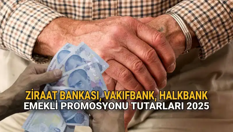 Emekli Promosyonlarında Rekabet Alevleniyor: 2025 İçin Kamu Bankaları Neler Sunuyor?
